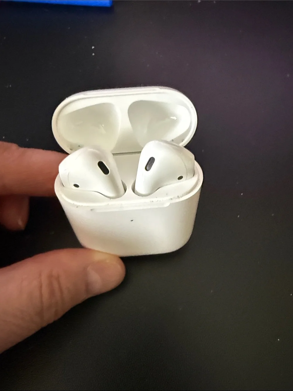 Apple White Earbuds & Charging Case